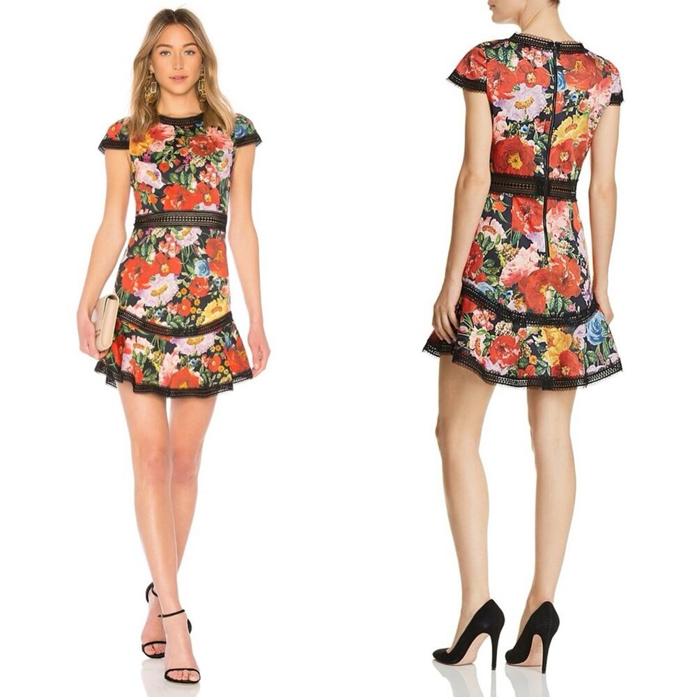 Alice + Olivia Rapunzel Fit Flare Dress Blooming Garden Laser Cut Lace Floral 2
